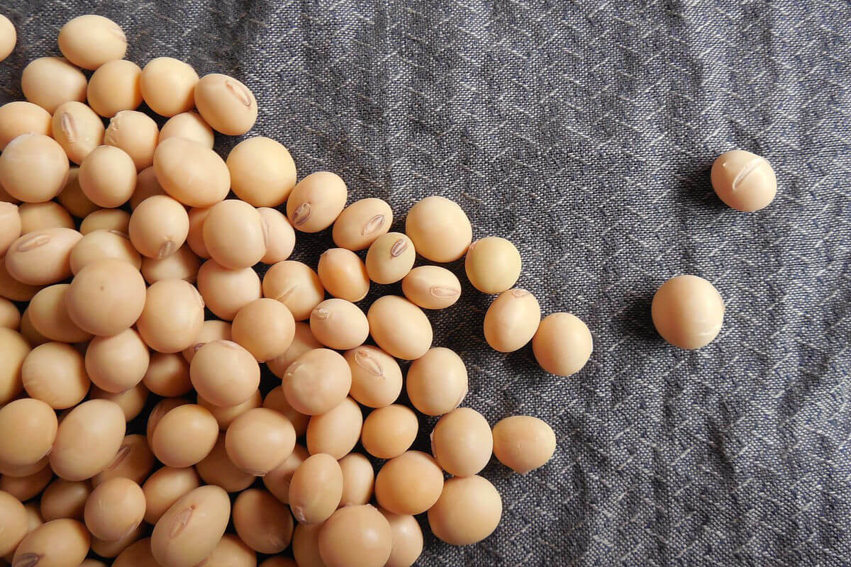 Soybeans